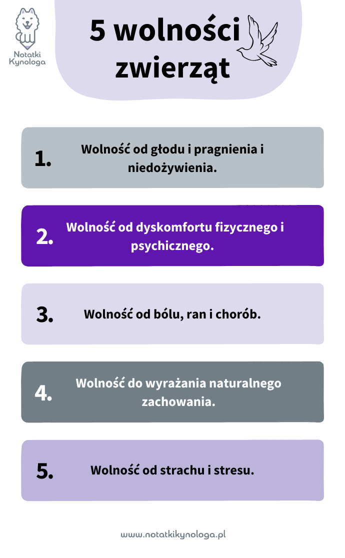 Pięć wolności zwierząt