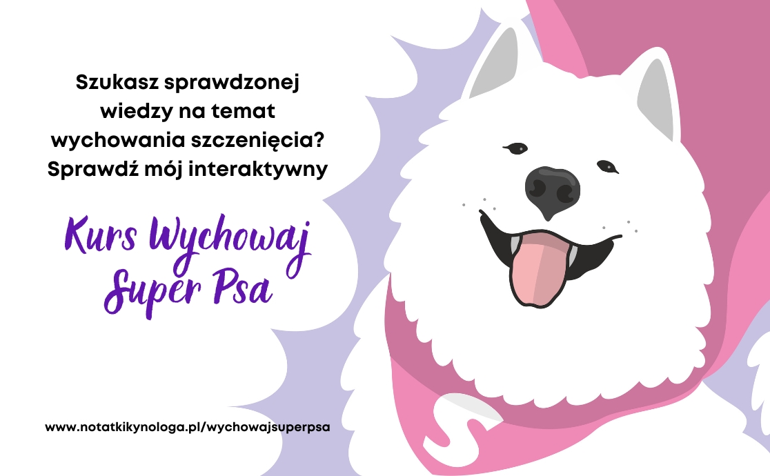 Kurs: Wychowaj Super Psa!